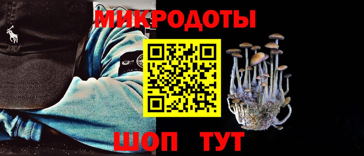 Псилоцибиновые грибы Psilocybine cubensis Торжок