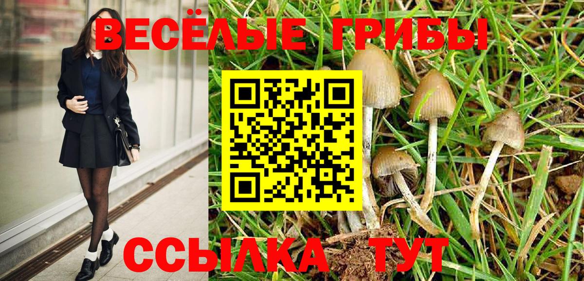 Псилоцибиновые грибы Cubensis  Галлюциногенные грибы Psilocybe  Торжок  Вход с VPN 
